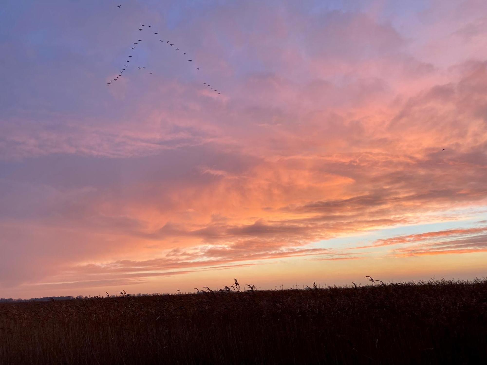 Deichkoje12 Direkt Am Eiderdeich Nur 7 Km Bis Zur Nordsee Und 20 Min Bis Sankt Peter Ording Тённинг Экстерьер фото