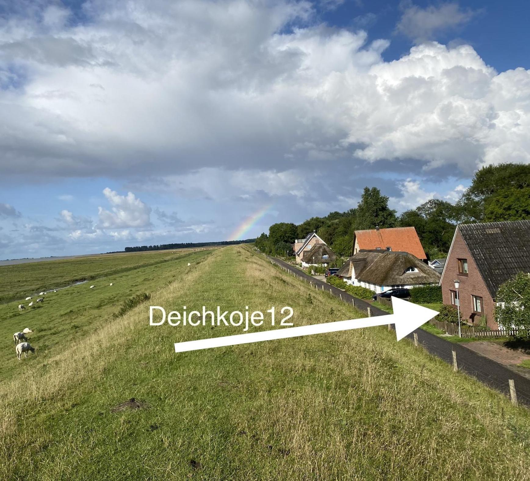 Deichkoje12 Direkt Am Eiderdeich Nur 7 Km Bis Zur Nordsee Und 20 Min Bis Sankt Peter Ording Тённинг Экстерьер фото